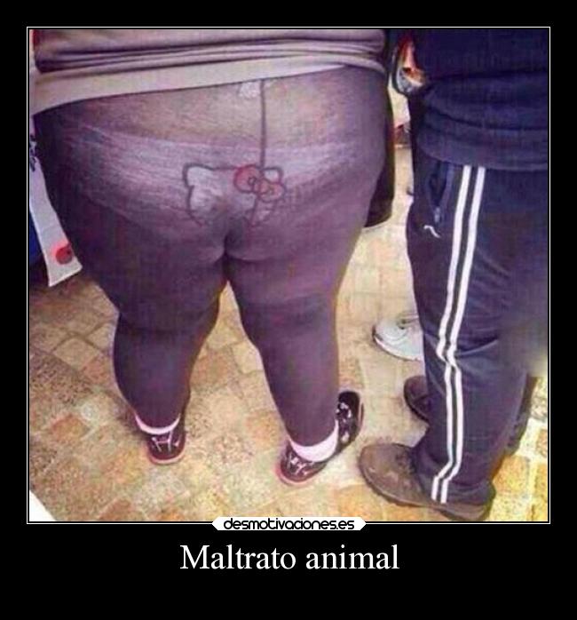 Maltrato animal - 