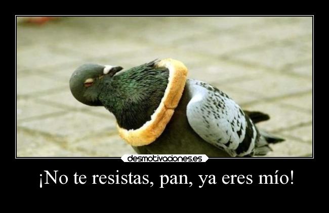 ¡No te resistas, pan, ya eres mío! - 