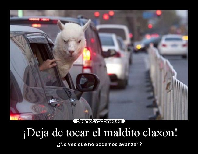 carteles humor llama cabreada coche ventanilla claxon desmotivaciones