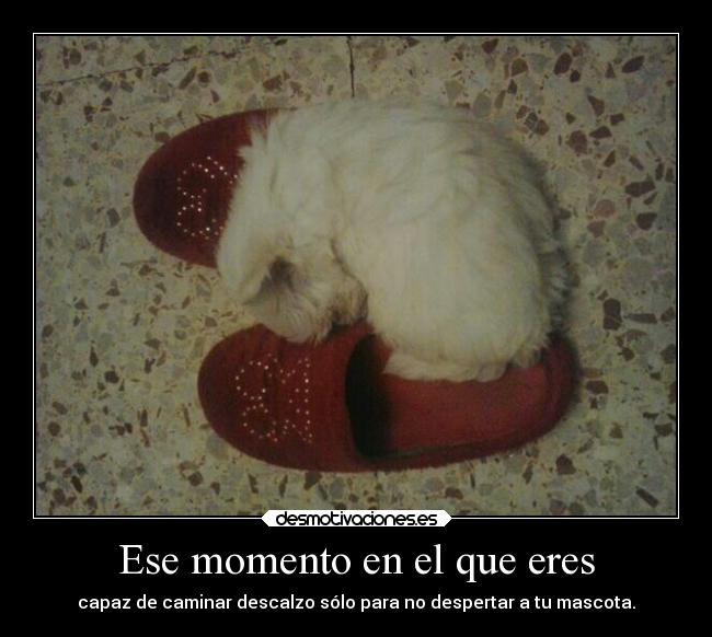 Ese momento en el que eres -