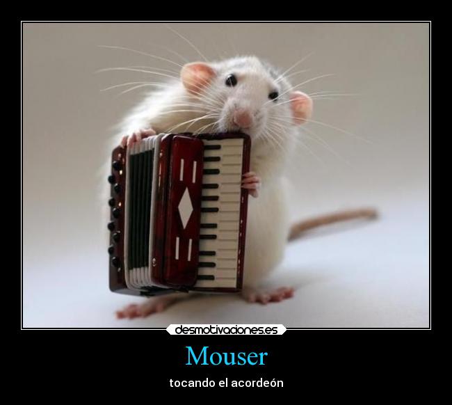 Mouser - tocando el acordeón