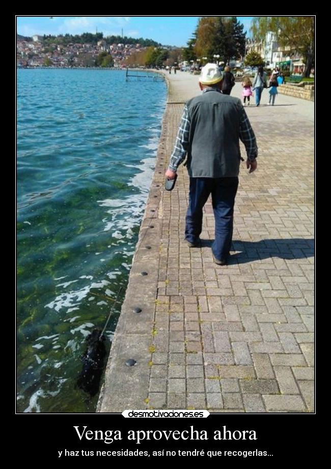 Venga aprovecha ahora -