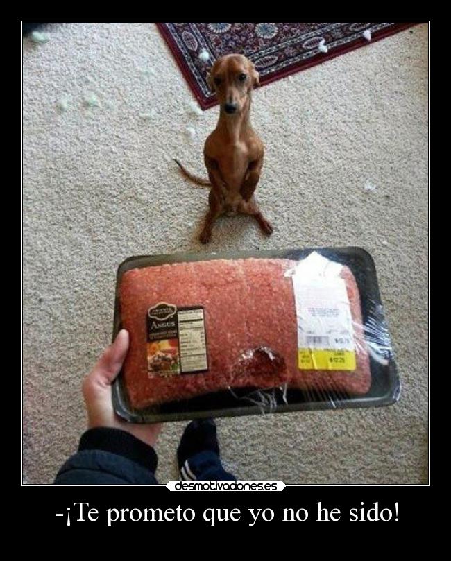 -¡Te prometo que yo no he sido! - 