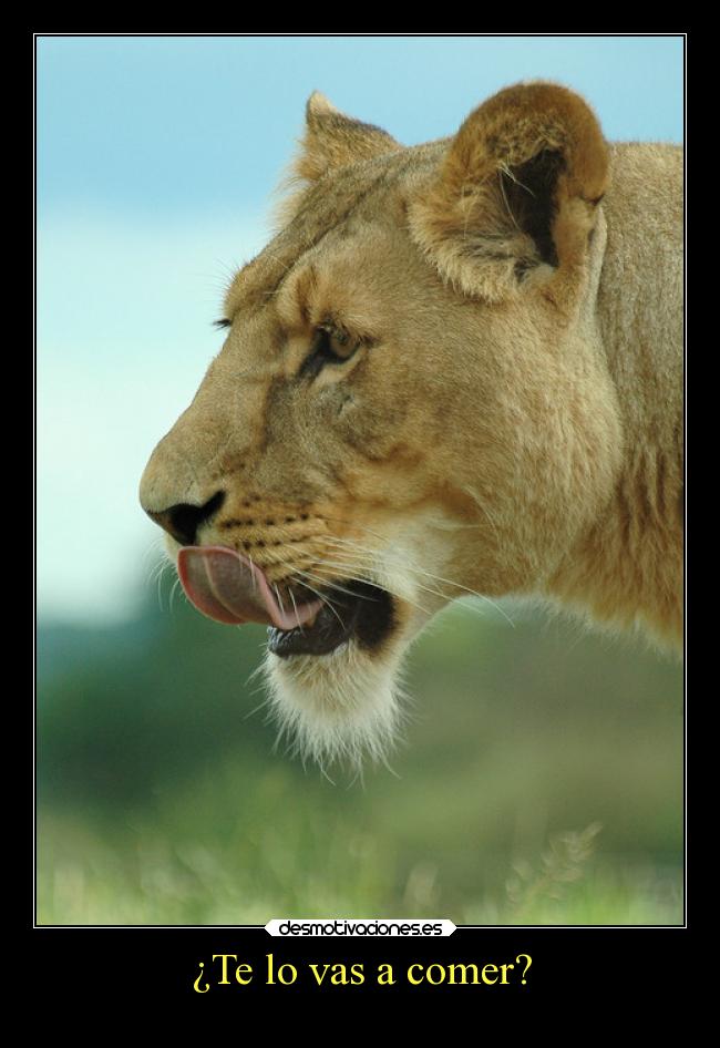 ¿Te lo vas a comer? -