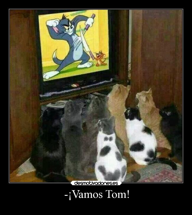 -¡Vamos Tom! -