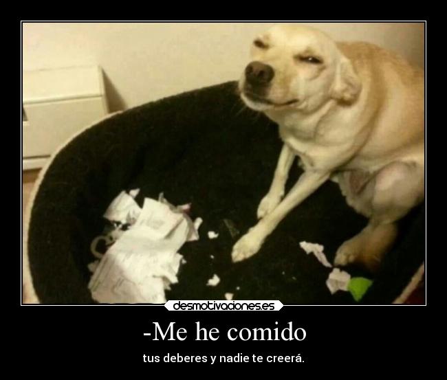 -Me he comido - tus deberes y nadie te creerá.