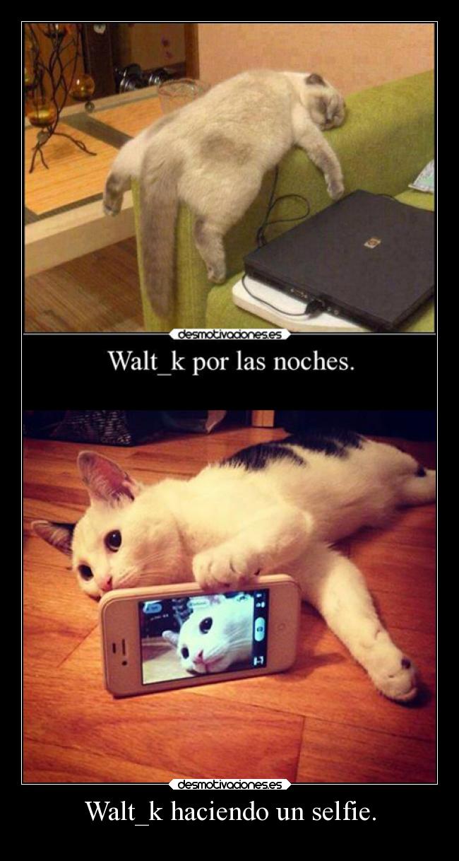 Walt_k haciendo un selfie. -