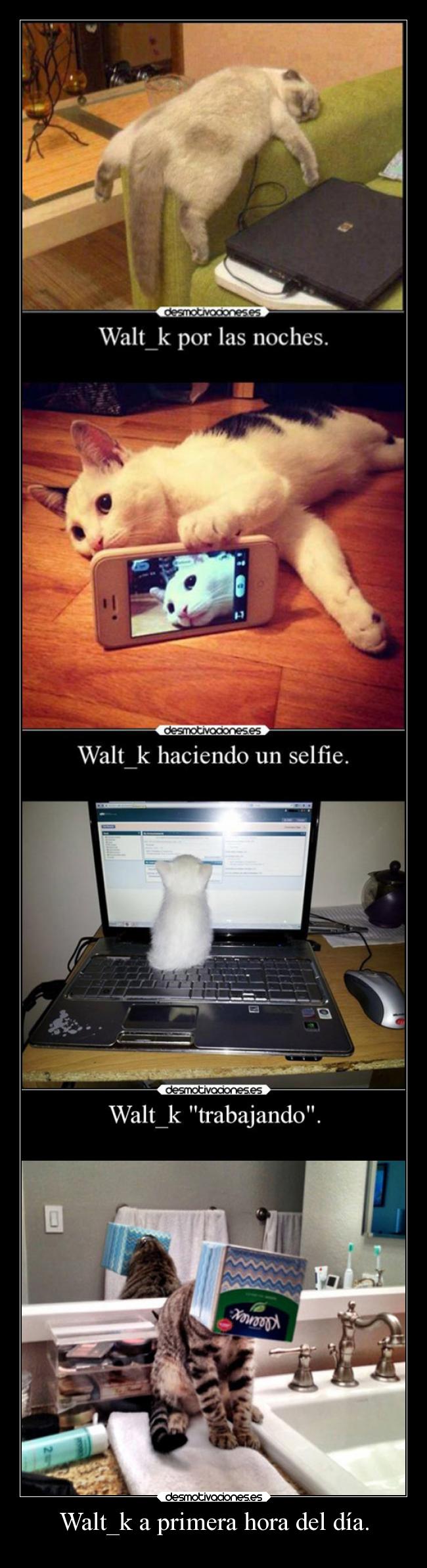 Walt_k a primera hora del día. - 