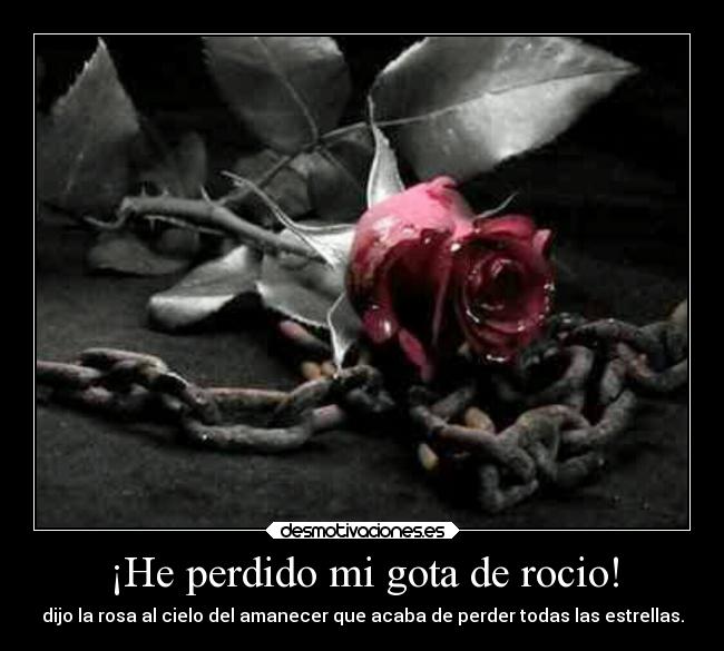 ¡He perdido mi gota de rocio! - 