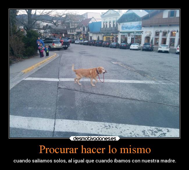 Procurar hacer lo mismo -