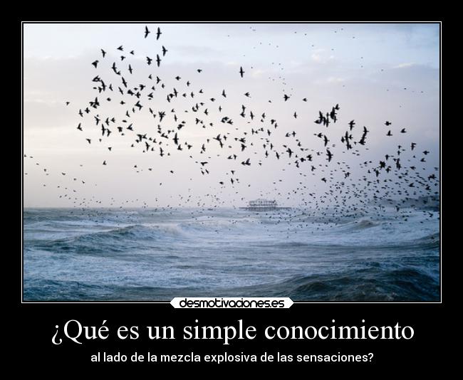 carteles imposible blue desmotivaciones
