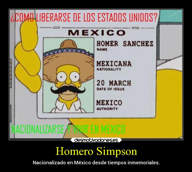 Homero Simpson - 