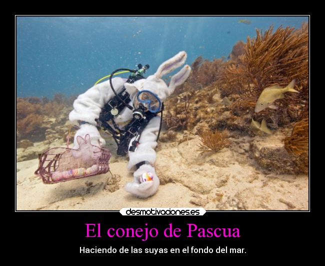 El conejo de Pascua - Haciendo de las suyas en el fondo del mar.