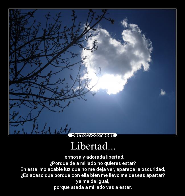 carteles libertad libertad desmotivaciones