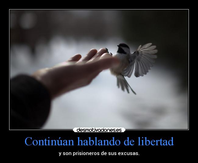 Continúan hablando de libertad -