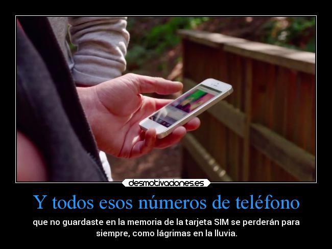 Y todos esos números de teléfono - 