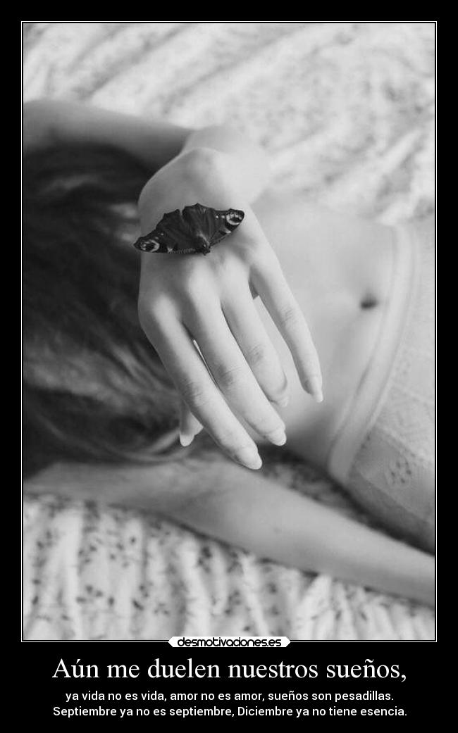 carteles locura nikolaior desmotivaciones