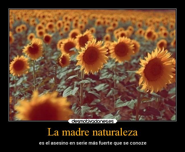 carteles madre naturaleza naturaleza desmotivaciones