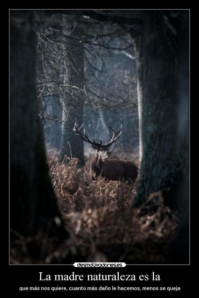La madre naturaleza es la - que más nos quiere, cuanto más daño le hacemos, menos se queja