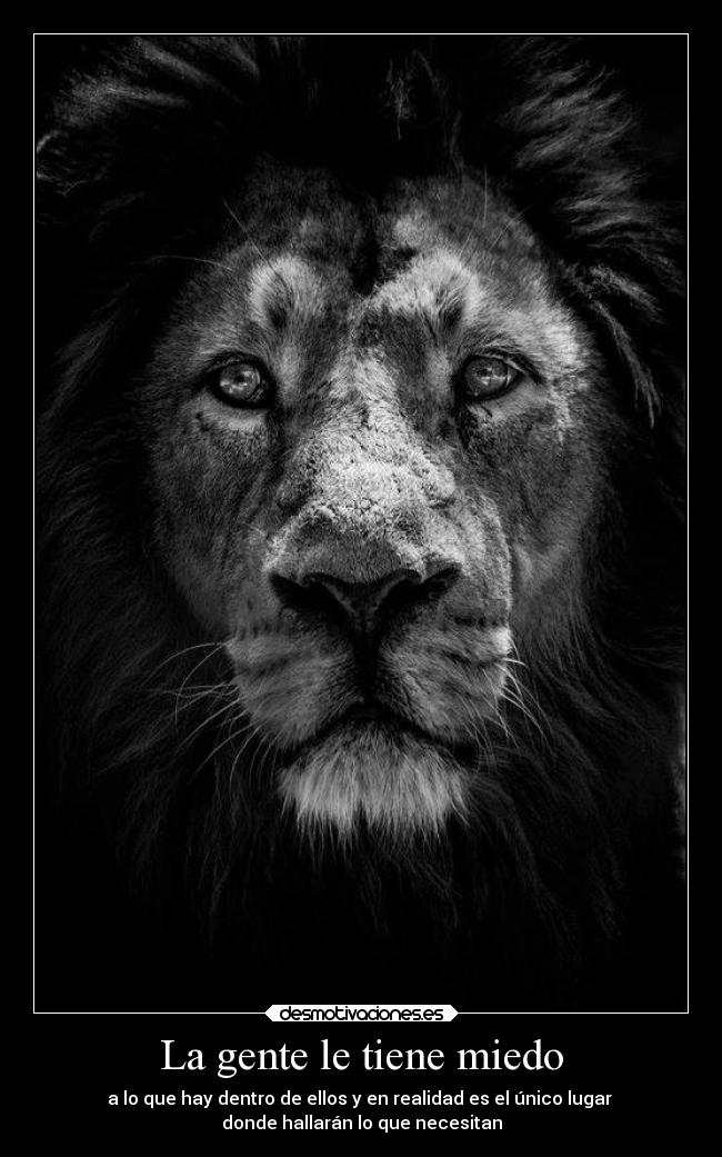 carteles miedo alma ayuda elguerreropacifico desmotivaciones