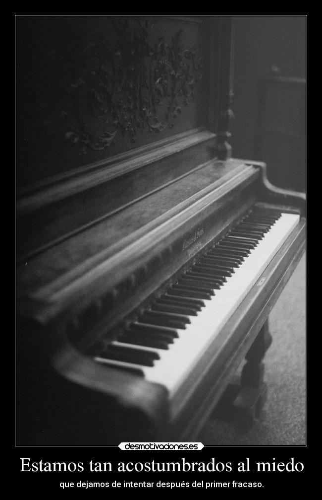 Estamos tan acostumbrados al miedo -