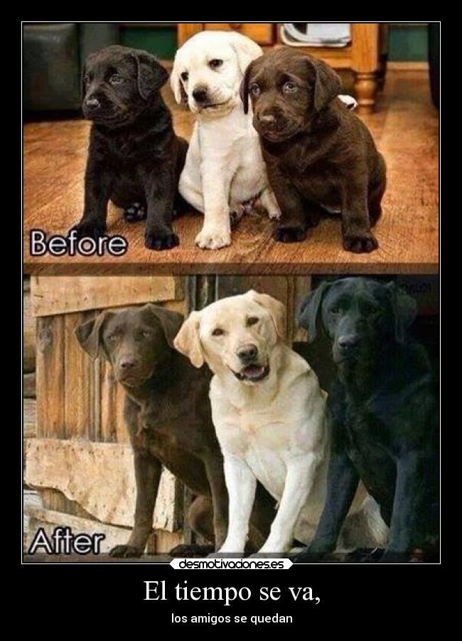 El tiempo se va, - los amigos se quedan