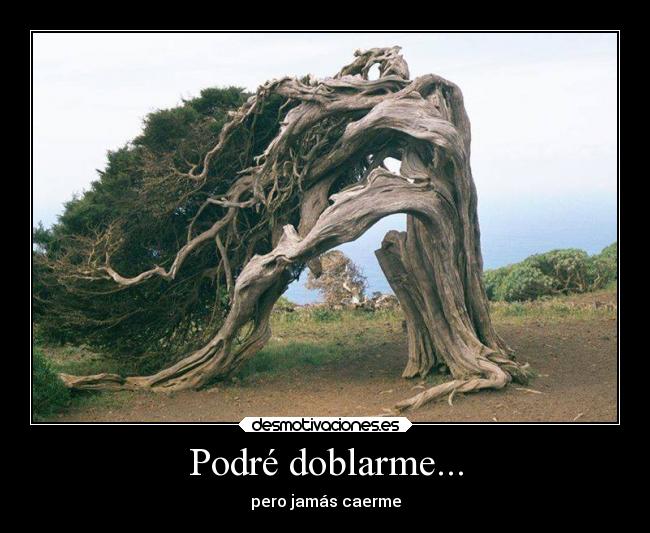 Podré doblarme... - 