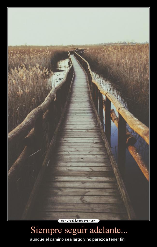 Siempre seguir adelante... -