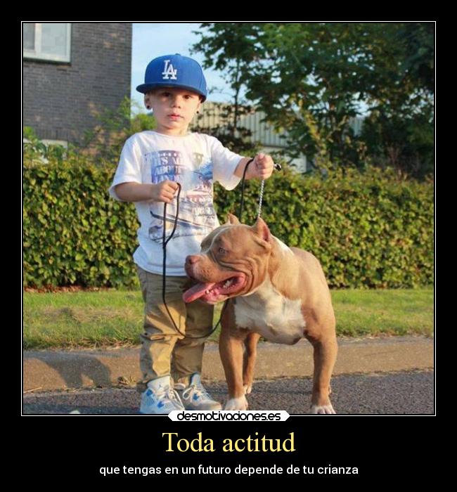 Toda actitud -