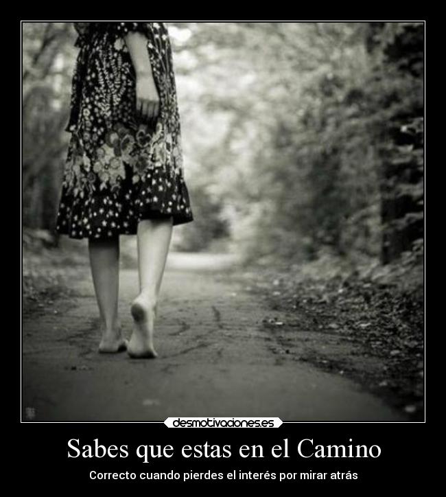 carteles motivaciones frases ayuda desmotivaciones