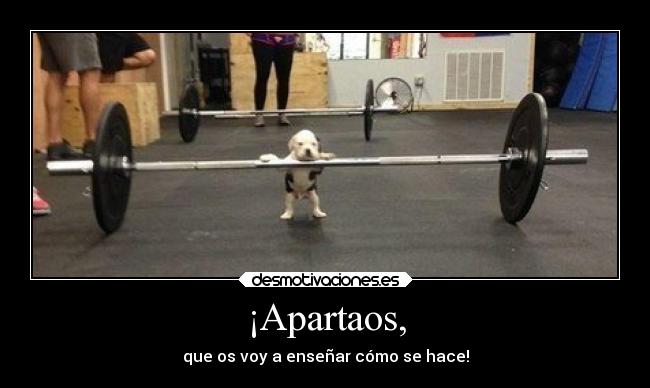 ¡Apartaos, - que os voy a enseñar cómo se hace!