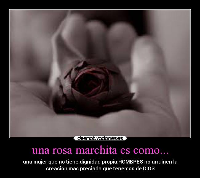 una rosa marchita es como... - una mujer que no tiene dignidad propia.HOMBRES no arruinen la
creación mas preciada que tenemos de DIOS