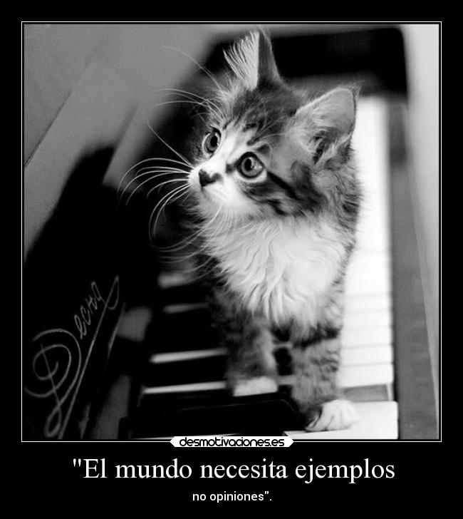 http://img.desmotivaciones.es/201404/mundo-ayuda-desmotivaciones-1.jpg