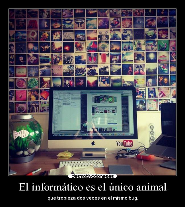 El informático es el único animal - que tropieza dos veces en el mismo bug.