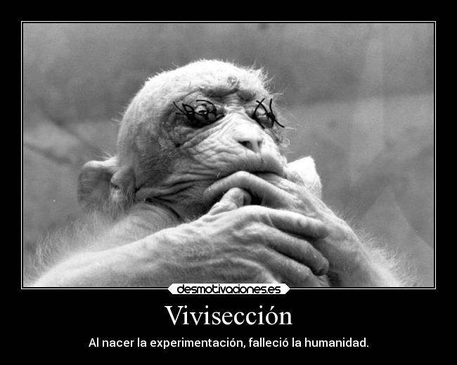 Vivisección - Al nacer la experimentación, falleció la humanidad.