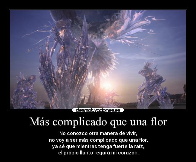 Más complicado que una flor - No conozco otra manera de vivir,
no voy a ser más complicado que una flor,
ya sé que mientras tenga fuerte la raíz,
el propio llanto regará mi corazón.