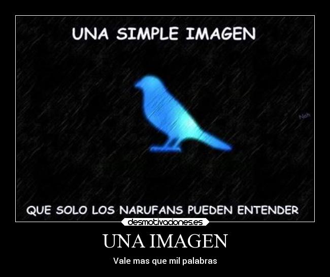 UNA IMAGEN - Vale mas que mil palabras