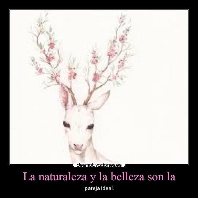 La naturaleza y la belleza son la -