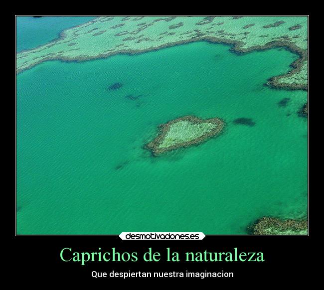 Caprichos de la naturaleza - Que despiertan nuestra imaginacion