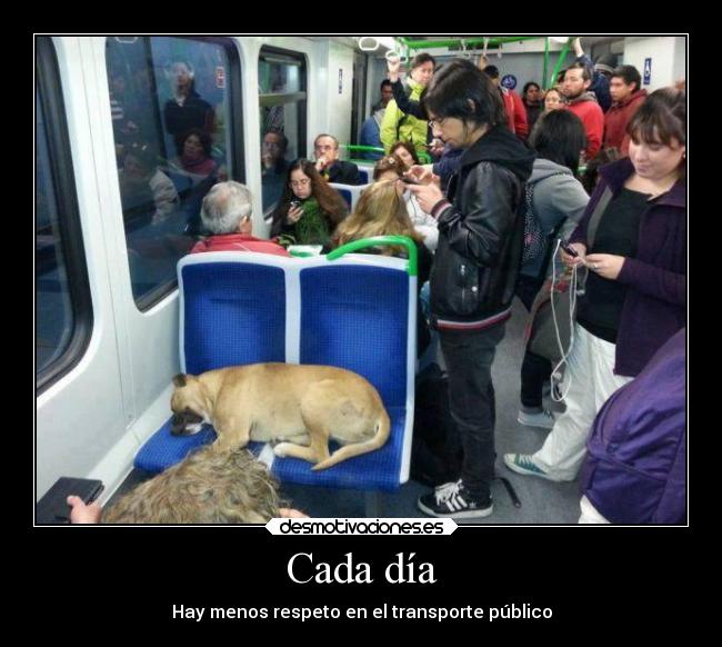 Cada día - 