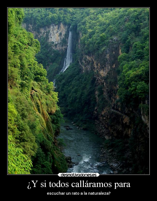 ¿Y si todos calláramos para - escuchar un rato a la naturaleza?