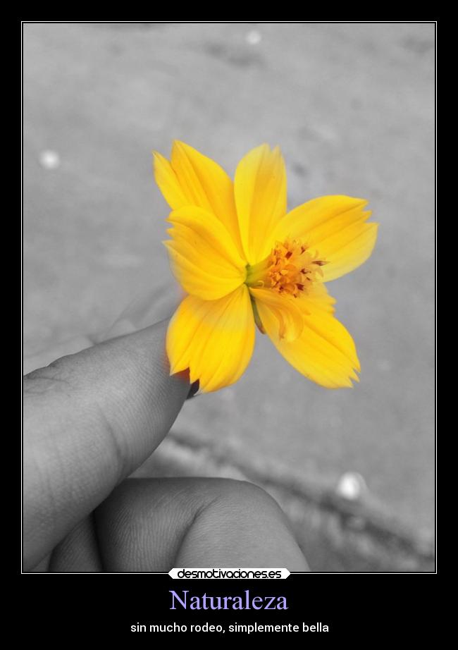 Naturaleza - sin mucho rodeo, simplemente bella