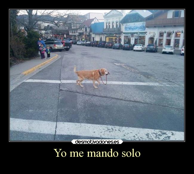 Yo me mando solo - 