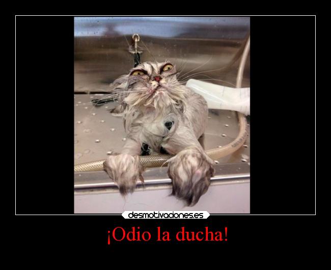 ¡Odio la ducha! - 