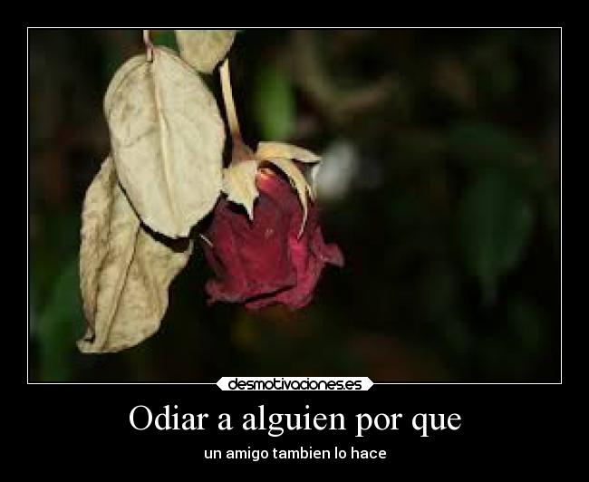 Odiar a alguien por que - un amigo tambien lo hace