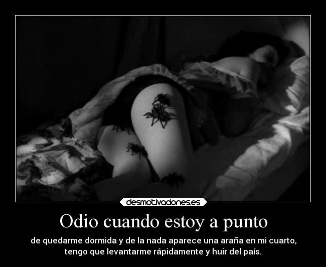 Odio cuando estoy a punto - de quedarme dormida y de la nada aparece una araña en mi cuarto,
tengo que levantarme rápidamente y huir del país.