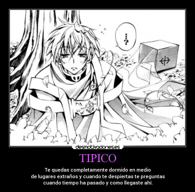 TIPICO -
