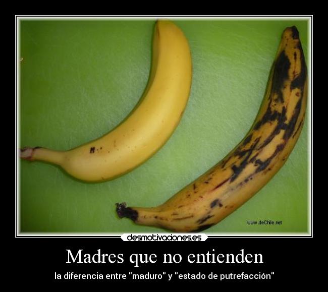 carteles padres madre que asco comerte platano podrido bmthbvb doy pena platanos desmotivaciones