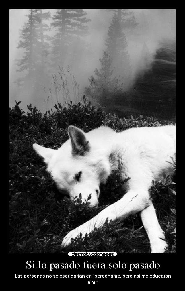 Si lo pasado fuera solo pasado - Las personas no se escudarían en “perdóname, pero así me educaron
a mi”
