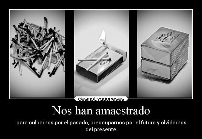 Nos han amaestrado - 